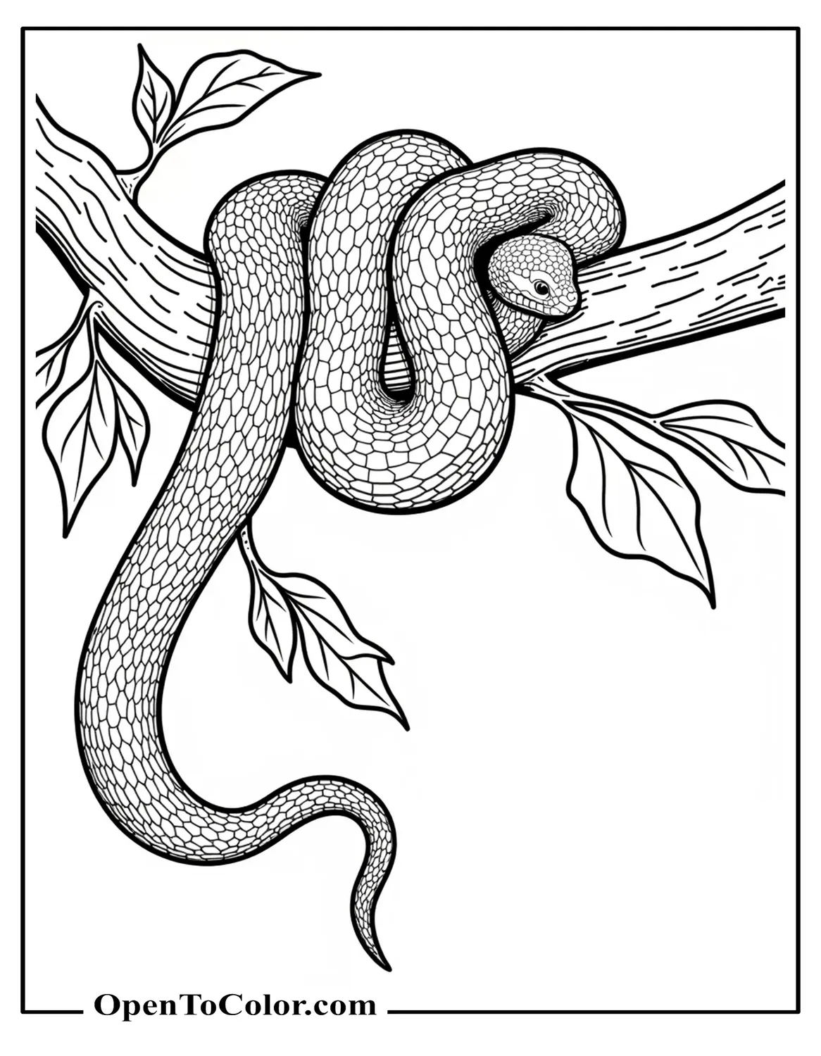 Free Coloring Page of a Python Draped Over a Stout Branch with Heavy Coils