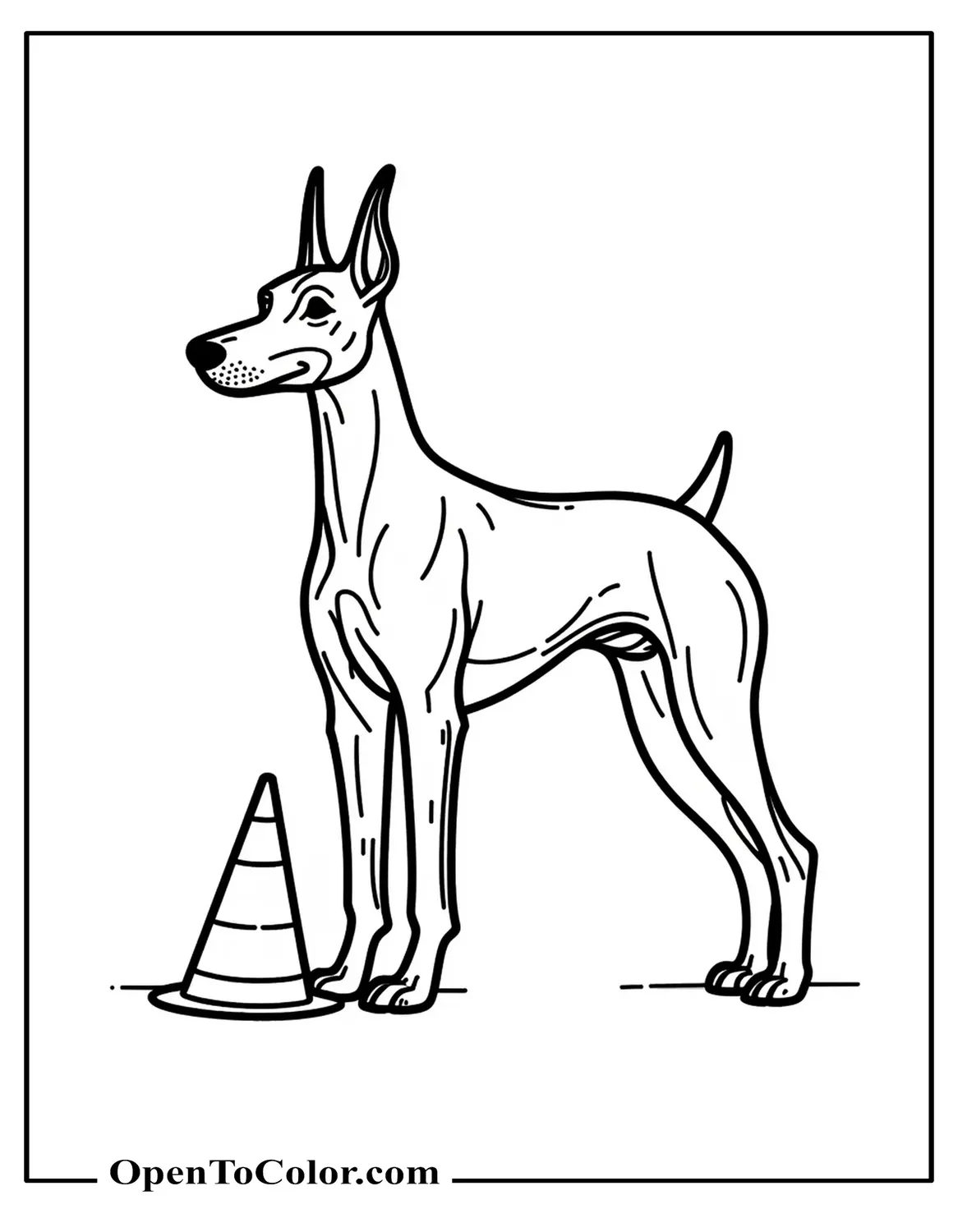 Realistic Doberman Pinscher in Show Stack Pose with Coloring Sheet, Printable Ring Marker Cone, and Number Card on Ground