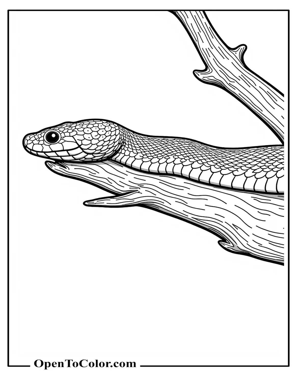 Free Realistic Snake Side View Coloring Page On A Tree Branch With Visible Scales