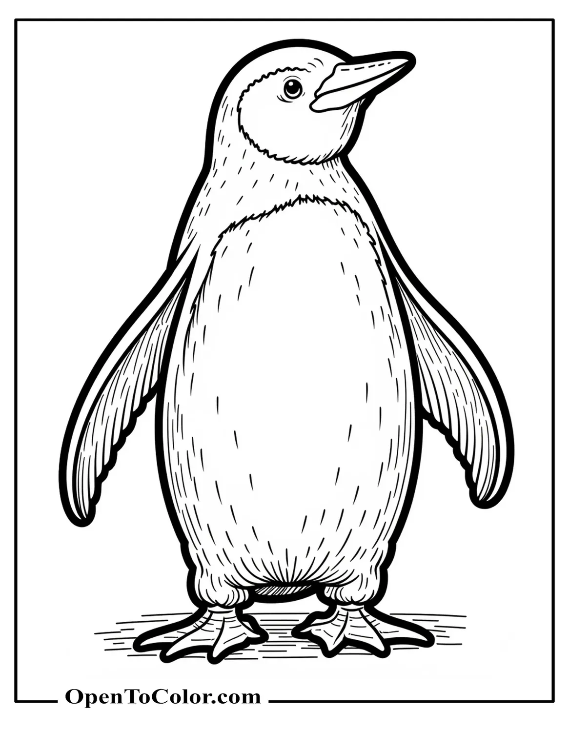 Free Realistic Penguin Coloring Sheet Standing Close-Up with Visible Feather Texture