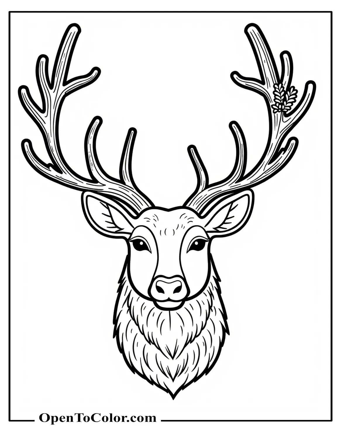 Free Coloring Sheet: Reindeer Head Profile, Large Detailed Antlers with Pine Sprigs